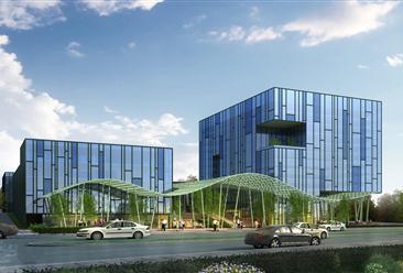 竹行業(yè)研究報(bào)告-竹行業(yè)分析報(bào)告-竹市場調(diào)研報(bào)告