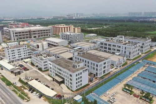 立足灣區 攜手歐洲 走向世界 江門塑造國際經貿合作新優勢